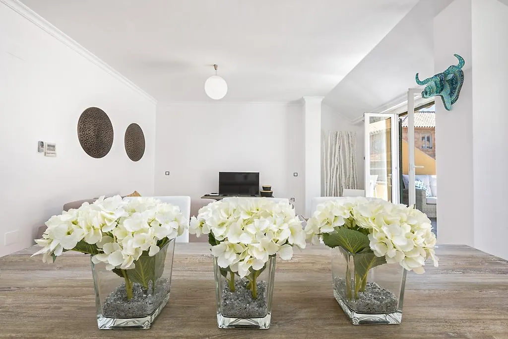 San Lorenzo Penthouse In Malaga By Solaga Holiday Homes Apartment